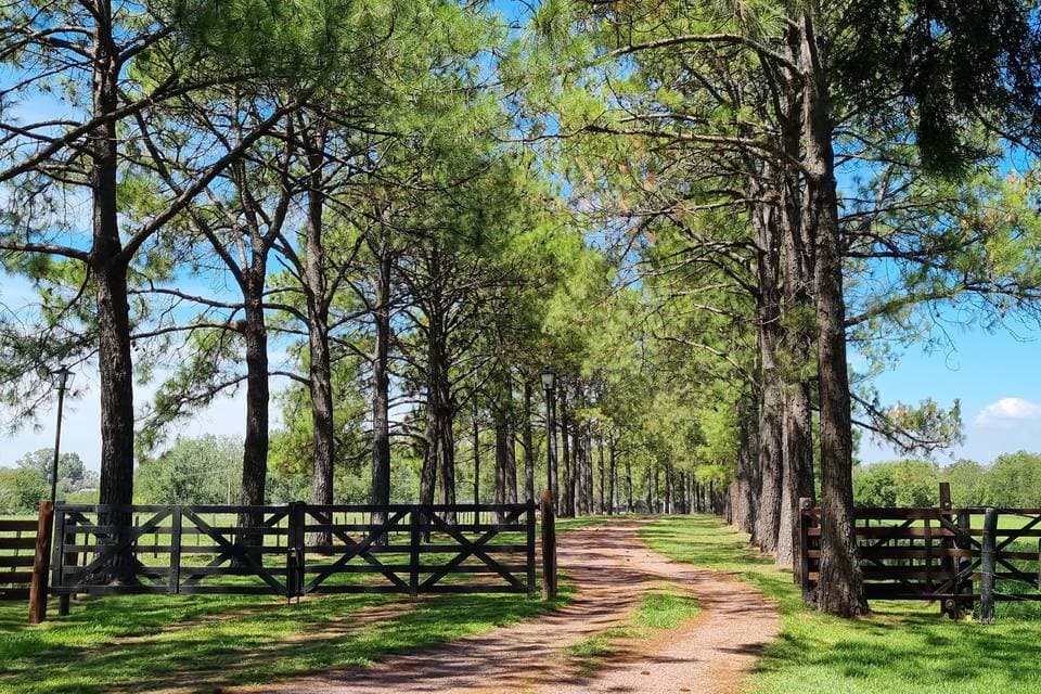 Zona Sur: quintas y espacios para eventos