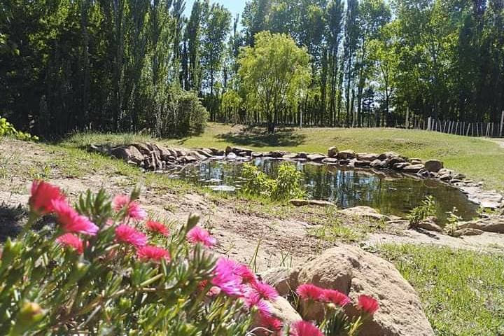 Casamiento de día en una quinta con parque y luz natural