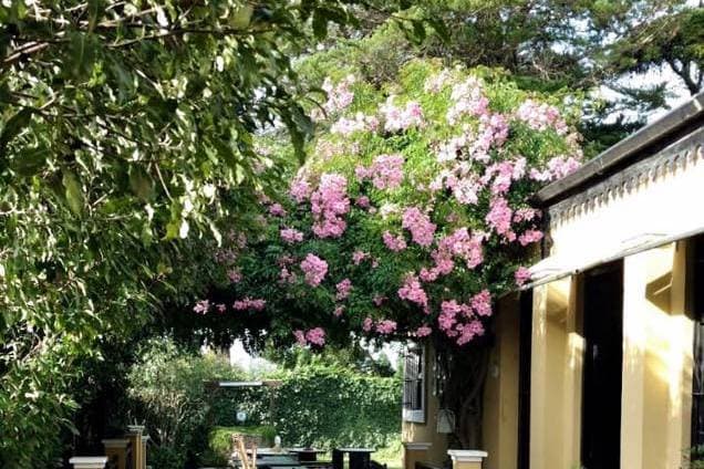 San Antonio de la Sierra, ambiente para celebraciones