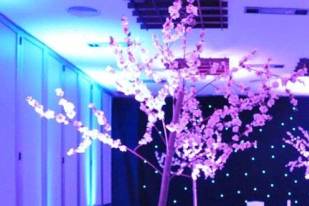 Hotel Carlos V, ambiente para celebraciones