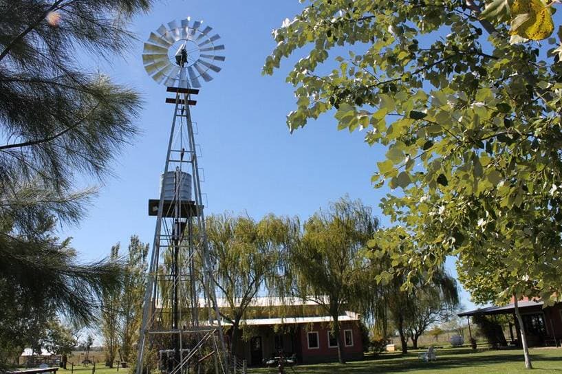 Finca La Paquita, detalle del espacio