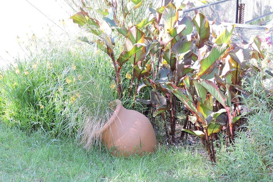 Quinta Los Charitos, ambiente para celebraciones