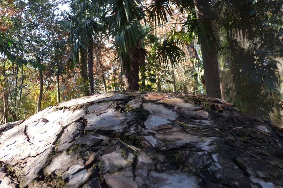 Fundación Naturaleza Viva, detalle del espacio
