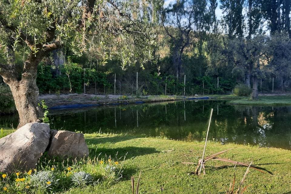 La Guadalupe, espacio para eventos en Lunlunta