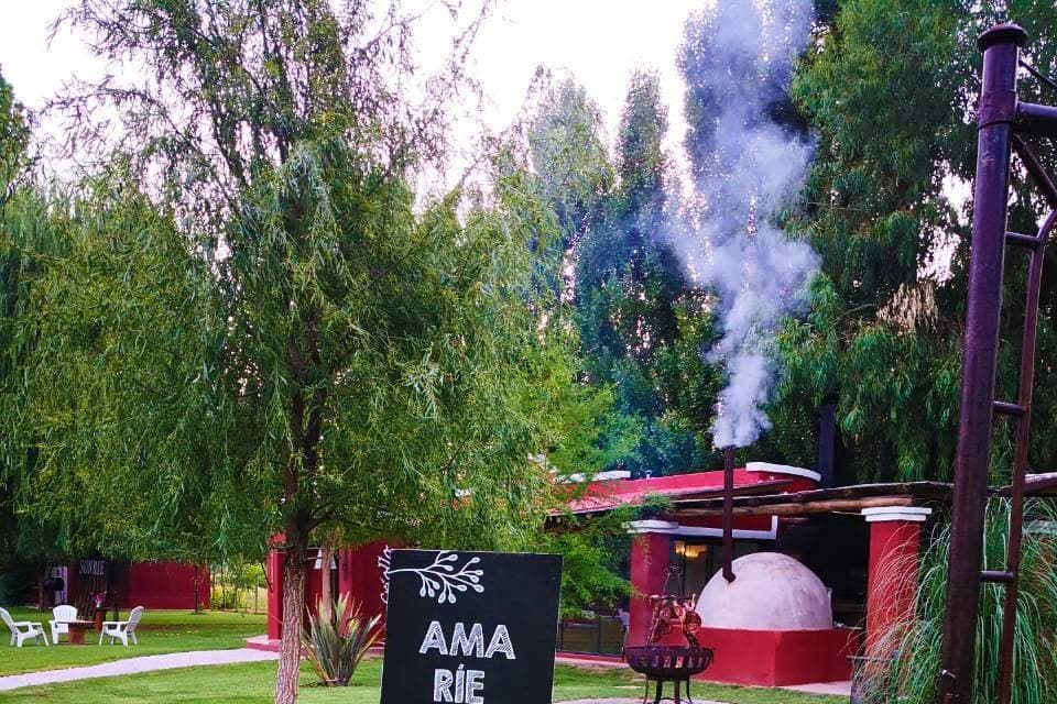 Álamo Intruso, detalle del espacio