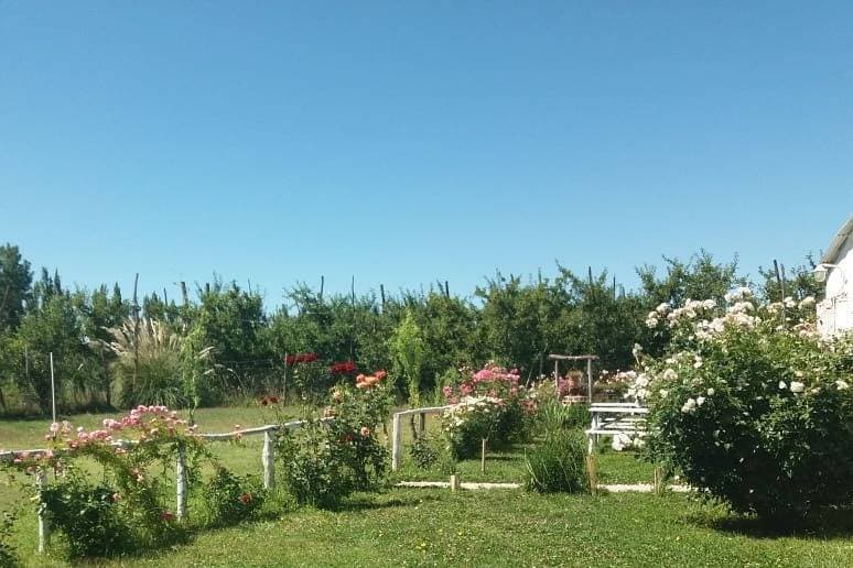 Finca Don Nicolás, ambiente para celebraciones