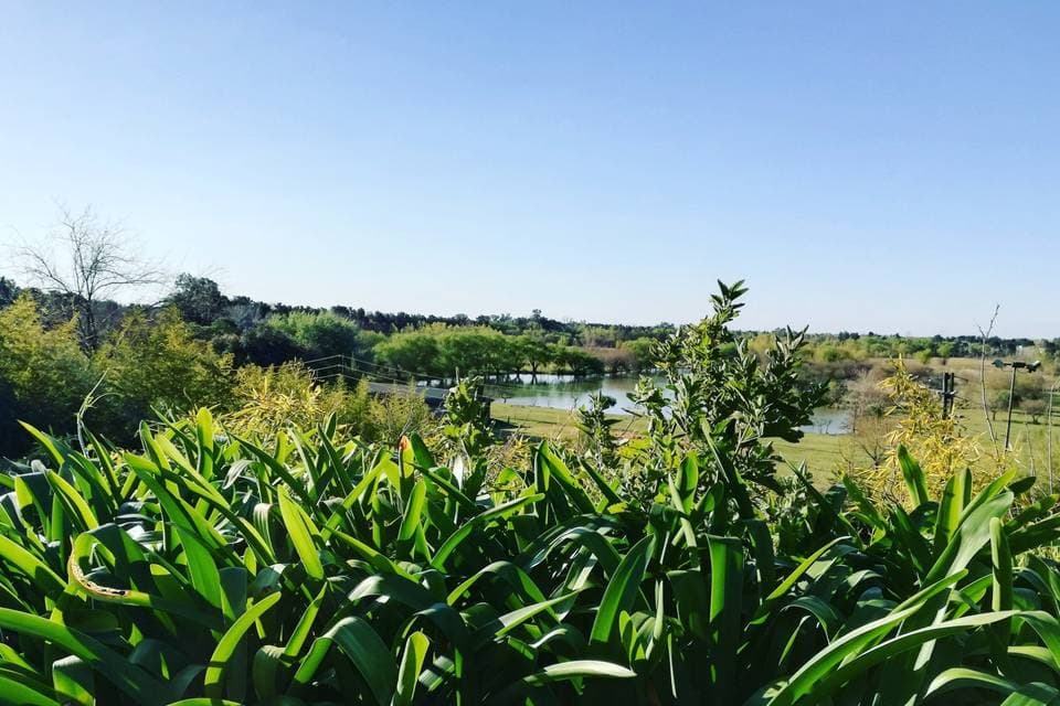 Quinta del Lago, detalle del espacio