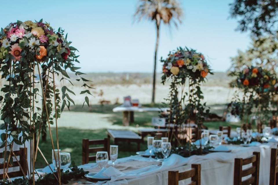 Establecimiento La Angélica, espacio para eventos en 5