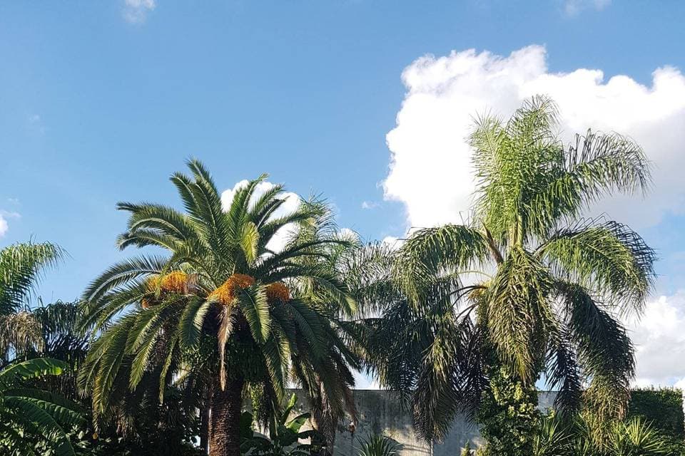 Le Château Eventos, detalle del espacio