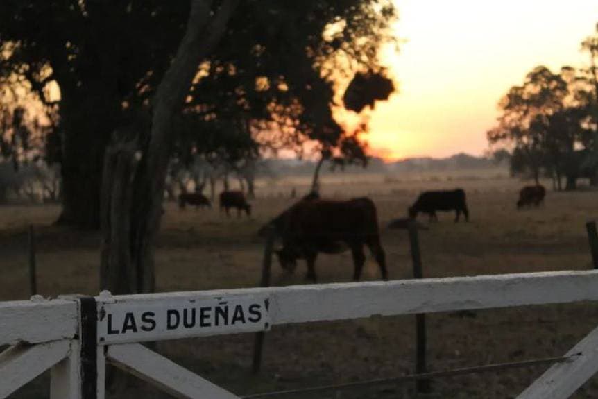 Las Dueñas de Areco, ambiente para celebraciones