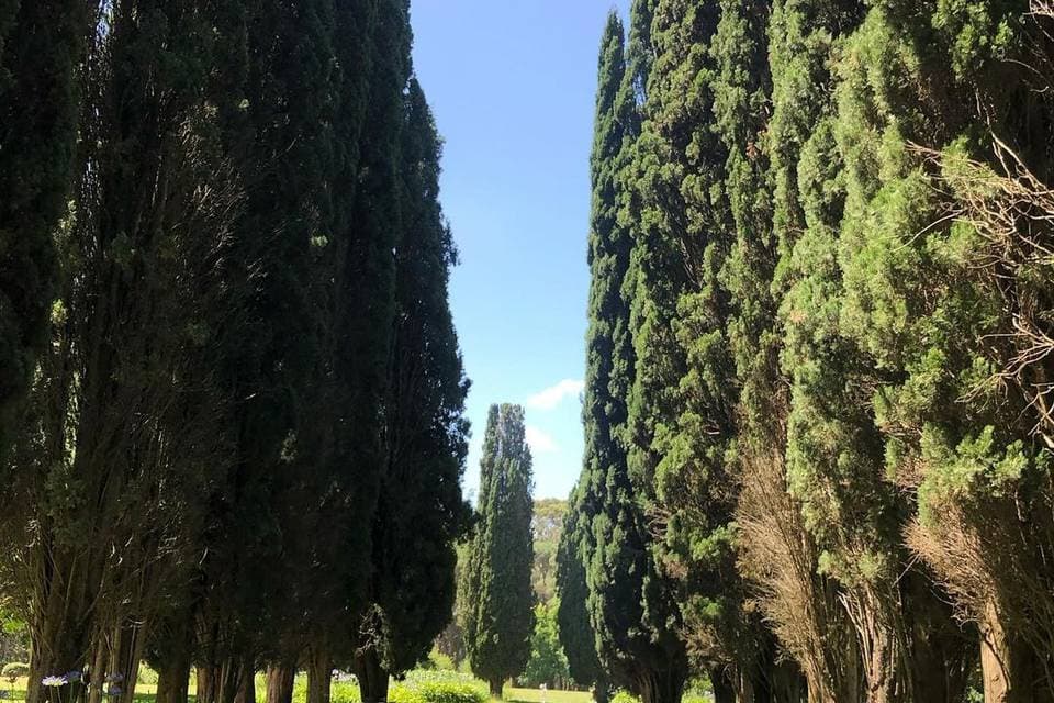 Estancia Santa Sylvina, ambiente para celebraciones