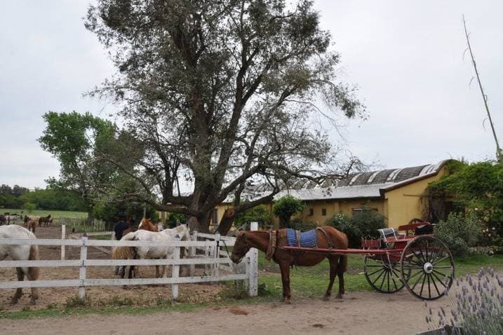 Estancia Don Silvano, ambiente para celebraciones