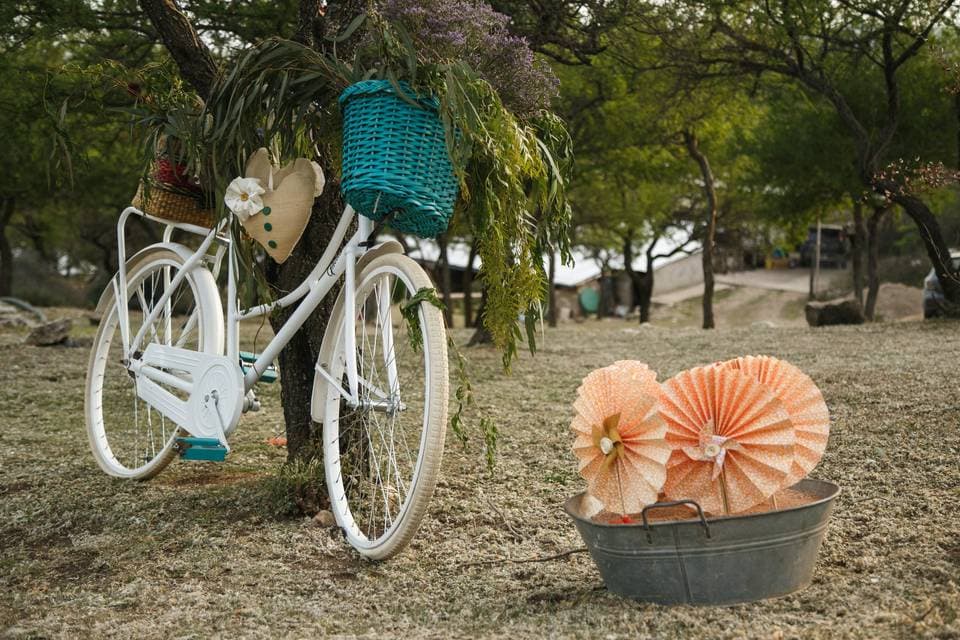 Alma Ambientacion: ambientacion para eventos